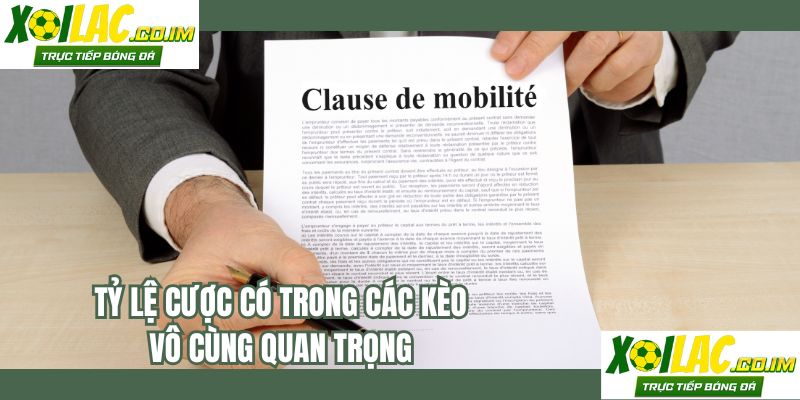 Tỷ lệ cược có trong các kèo vô cùng quan trọng