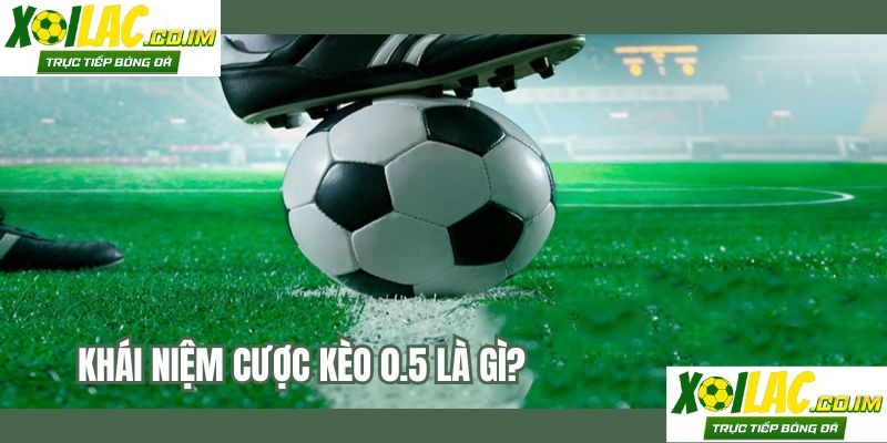 Khái niệm cược kèo 0.5 là gì?